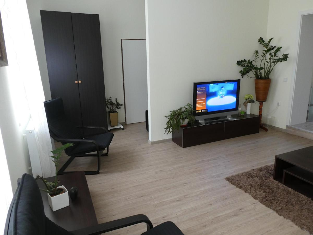 Apartman Marenka Nove Mesto na Morave Bagian luar foto