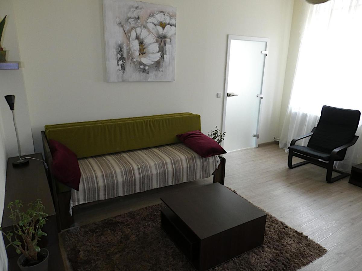 Apartman Marenka Nove Mesto na Morave Bagian luar foto